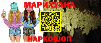 сатива Кимры