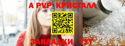 кокс Кингисепп