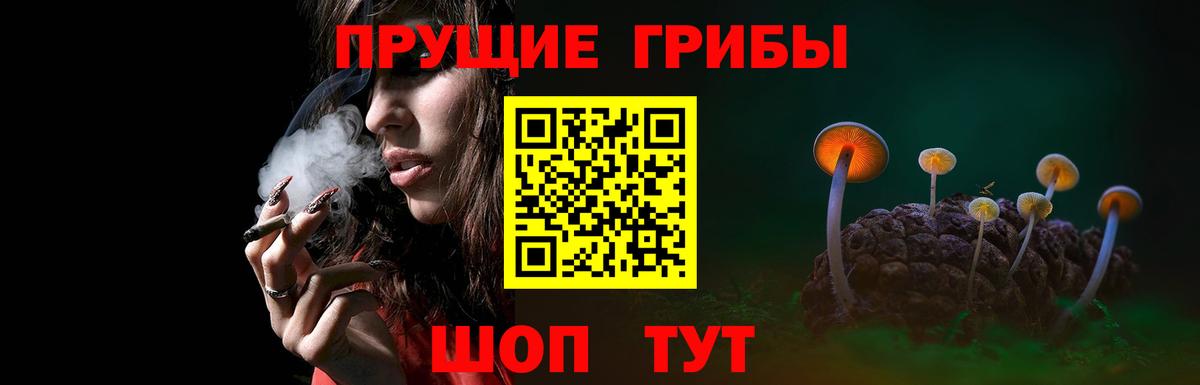 Псилоцибиновые грибы MAGIC MUSHROOMS  Вход с VPN  Татарск 